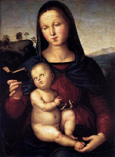 RAFFAELLO Sanzio Madonna Solly oil painting picture